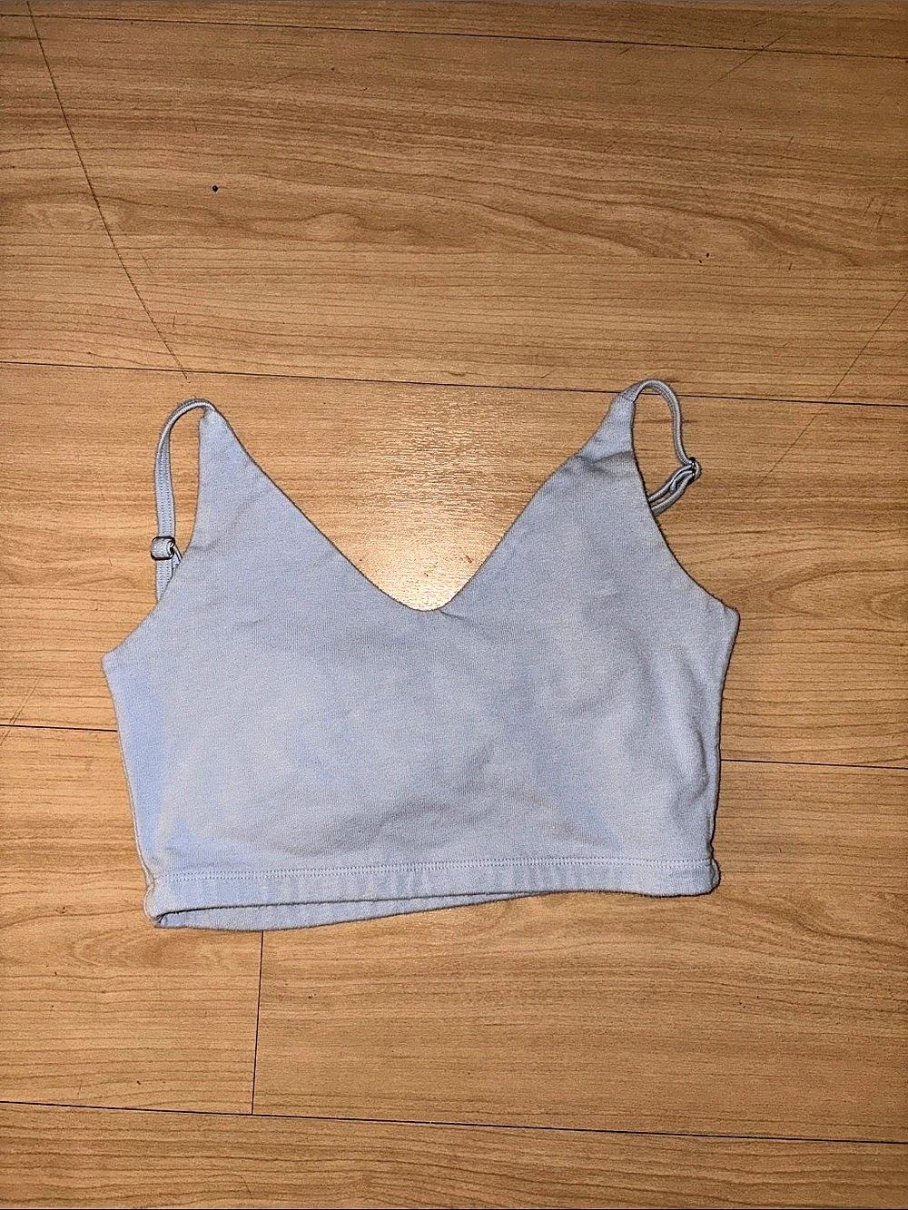 Brandy Melville Amara Tank Crop Top in Blue